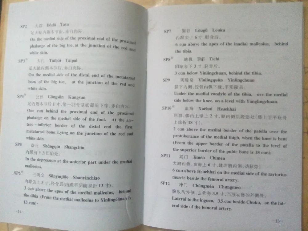 50 см английские акупунктурные пункты меридиана модель Мужской или женской акупунктурной модели с руководством пользователя