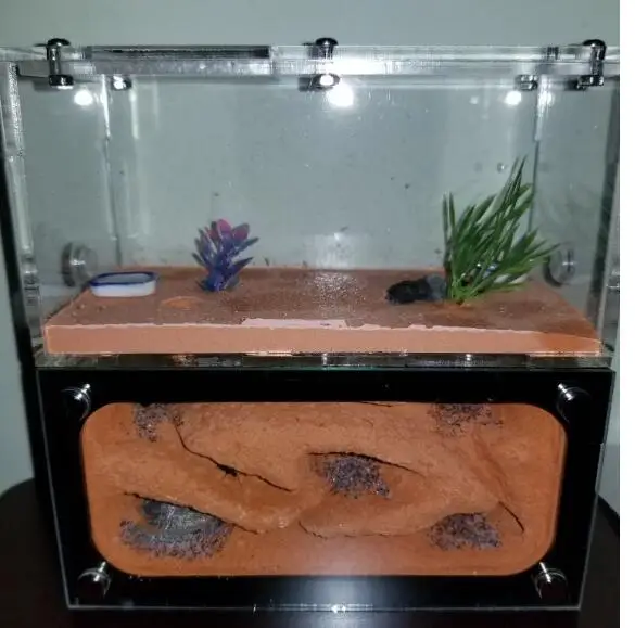 2 عش شفافة النملة البيت للأطفال غرف النمل المنزل المفضل استخدام جهاز لعبة مزرعة النمل الاكريليك فيلا الطالب العلمية مع أداة مجموعة 2 عش شفافة النملة البيت للأطفال غرف النمل المنزل المفضل استخدام جهاز لعبة مزرعة النمل الاكريليك فيلا الطالب العلمية مع أداة مجموعة