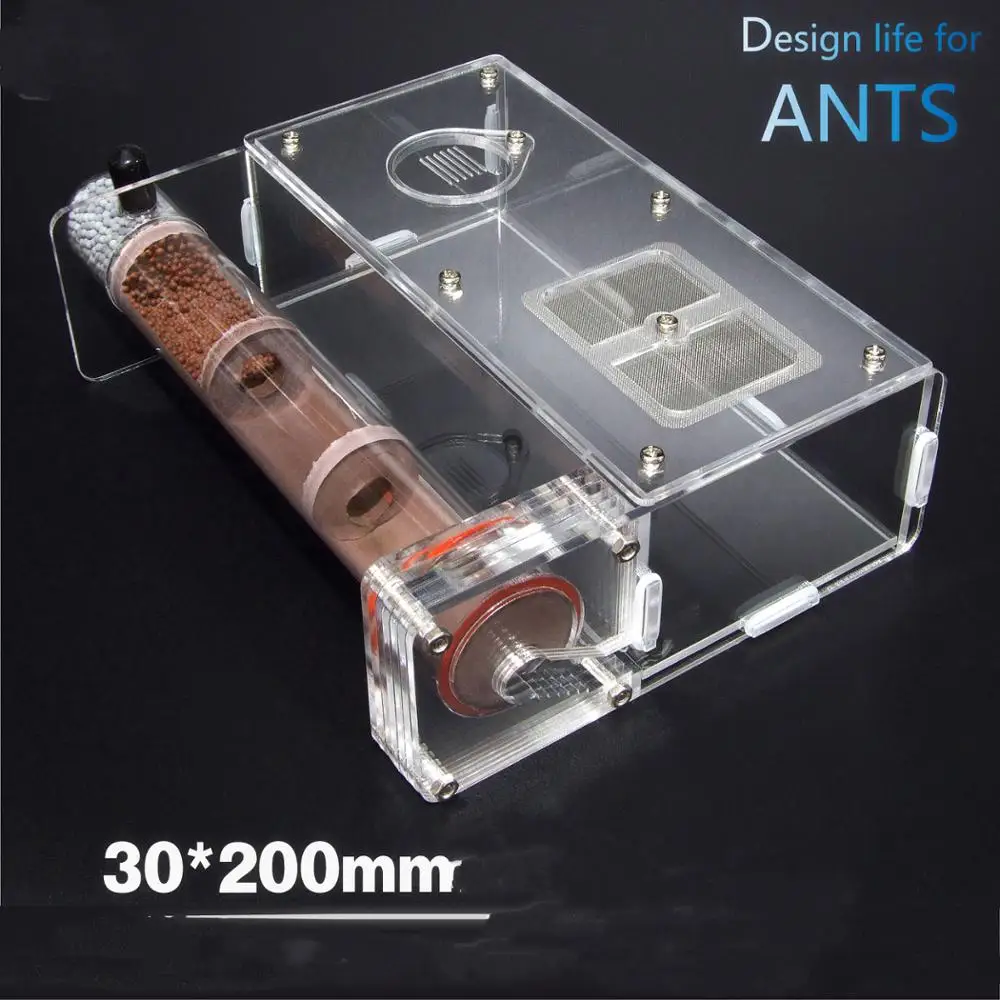 

200x30MM Bamboo Charcoal Glass Tube Ants Nest Children Science Biological Class Abservation Toy Porcelain Sand Tube Anthills