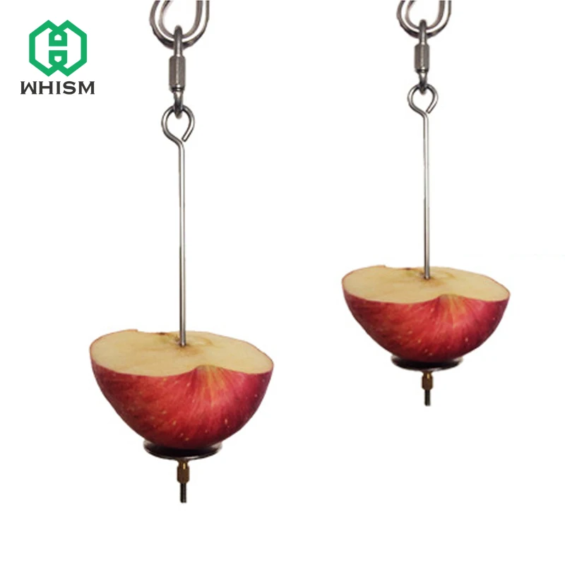 WHISM Stainless Steel Fruit Spear Holder Bird Toy Bird Parrot Parakeet