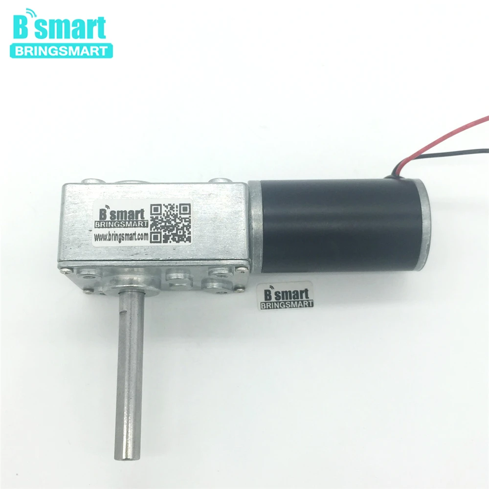 

Bringsmart 12V 24V PMDC Mini Worm Geared Motor High Torque Reversed Reduction Motor Self-Lock Extension Double Shaft 5840-31ZY