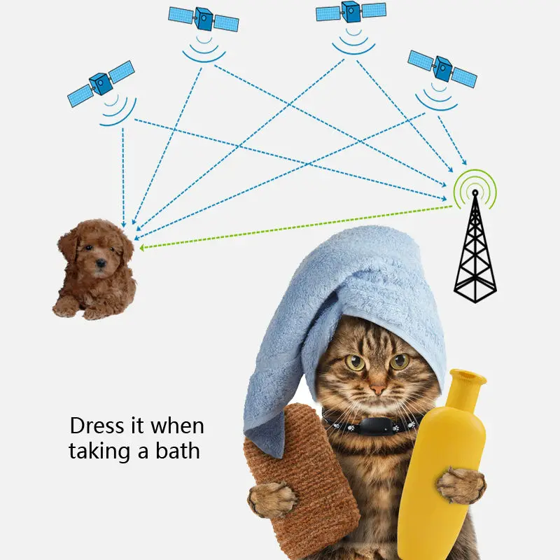 pet-tracker-1k1