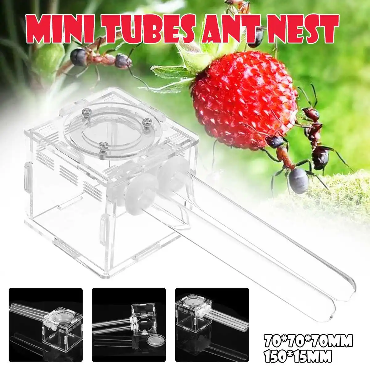 

Glass Tubes Ant Nest with Active Zone Granja de Hormigas Nid Fourmis Acryl Nest Ants Insetos Acrylic Ant Farm