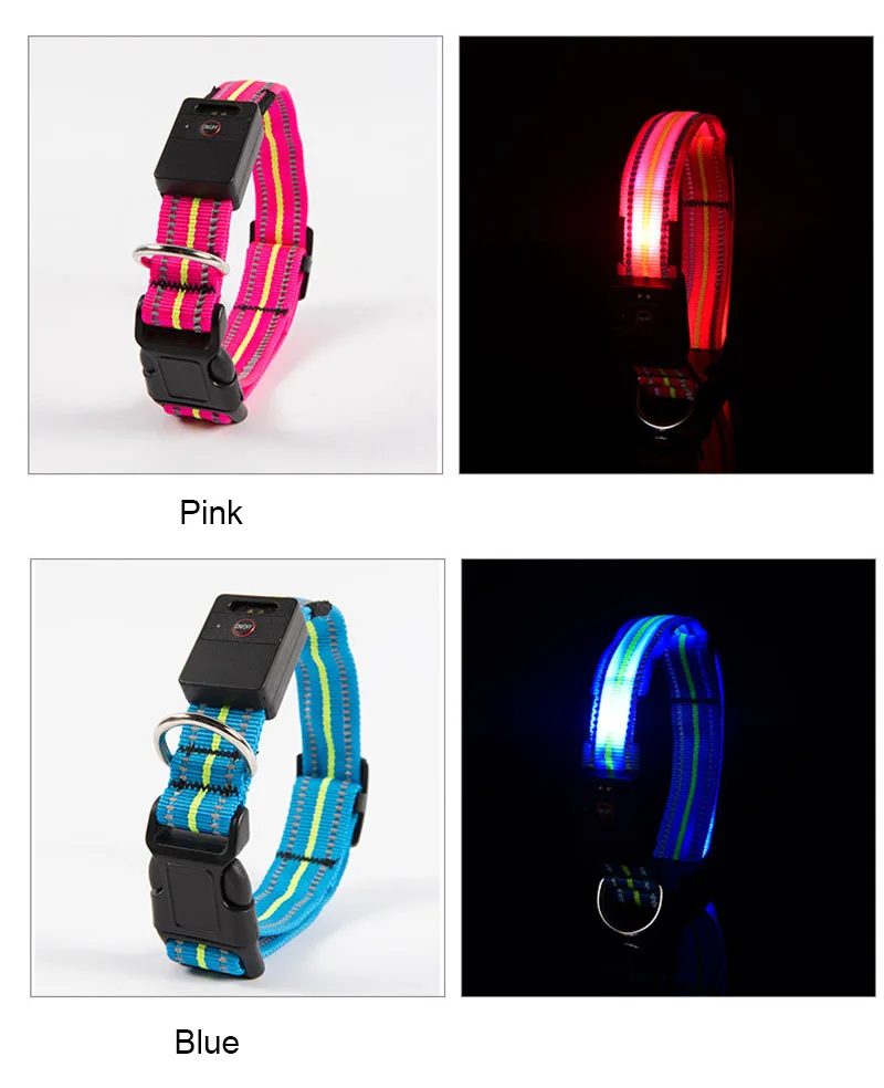 Dog Collar Luminous (8)