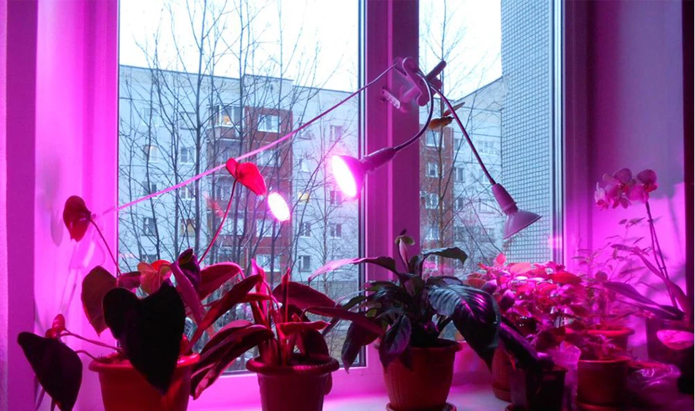 E27 растительный светильник светодиодный лампа для растений 220 в полный спектр фитолампа 80/200/290 светодиодный s комнатный растительный светильник s для рассады цветов