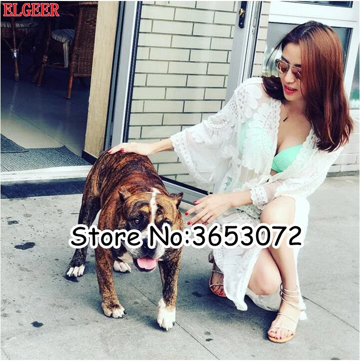 QQ20190318162915