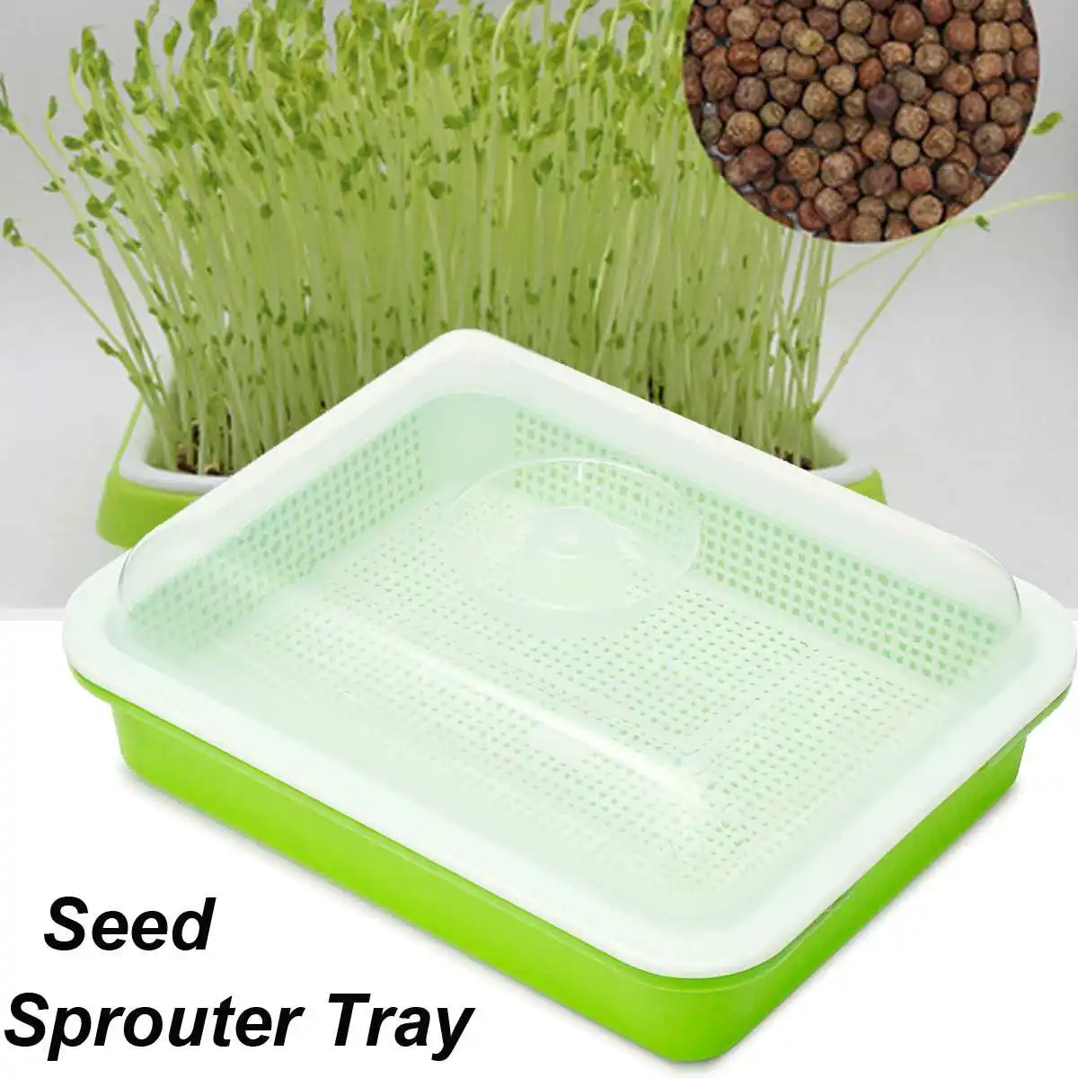 

Green Seed Sprouter Tray PP Soil-Free Big Capacity Healthy Wheatgrass Grower Planting Grow Box 32.5cmx26cmx11.5cm