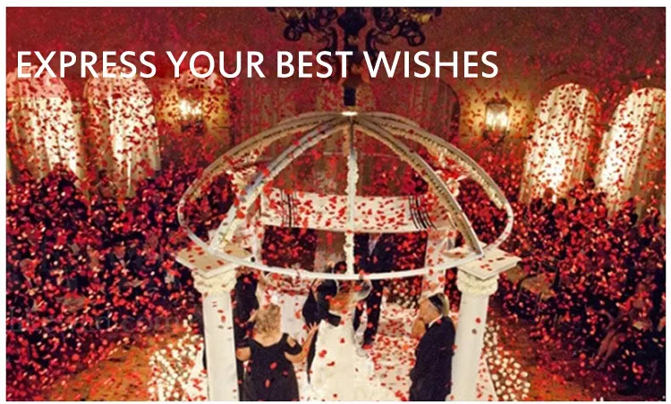 TB2ci1bXrBmpuFjSZFuXXaG_XXa_!!3018062857