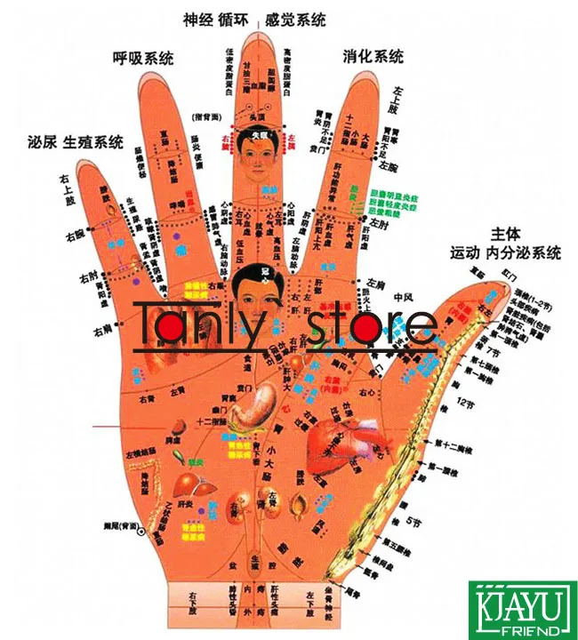 Wholesale & Retail Traditional Acupuncture Massage Tool finger healthy massager 40pcs/lot Wholesale & Retail Traditional Acupuncture Massage Tool finger healthy massager 40pcs/lot