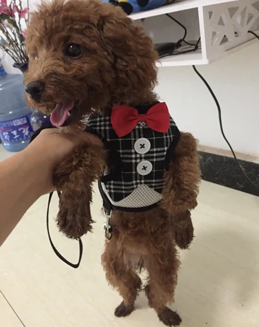 TB2q48jdxtnkeRjSZSgXXXAuXXa_!!0-rate