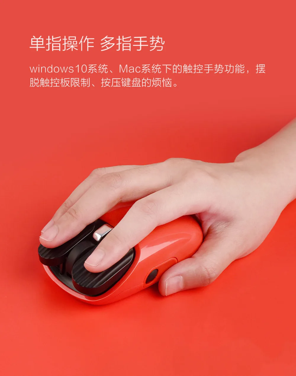 img (4)
