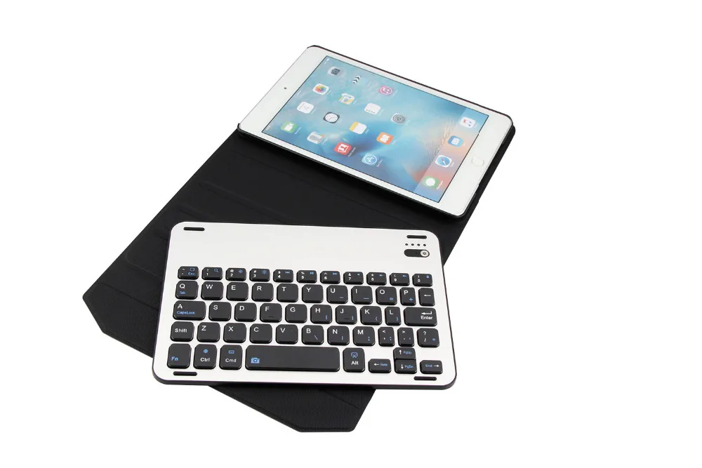 iPad mini  1009 (16)