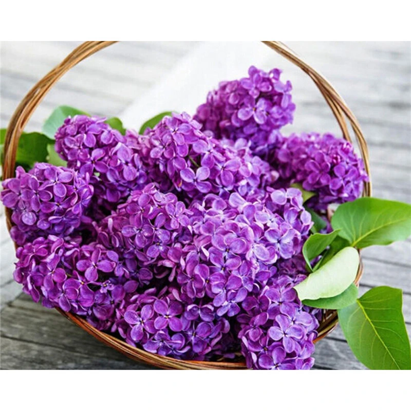 Kits for embroidery Purple flower diy diamond pattern picture rhinestones 5d diy diamond cross stitch flowers lilac paintings