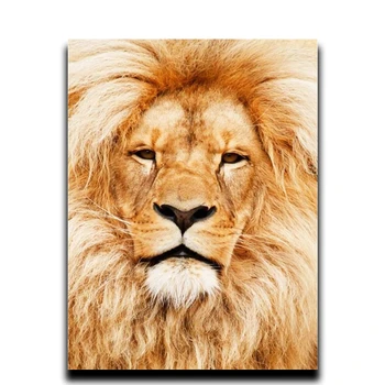 

Diy Diamond Embroidery Animal Lion Painting Series 5D Diamond Diamond Square Mosaic Icons Full Image Rhinestone Embroidery