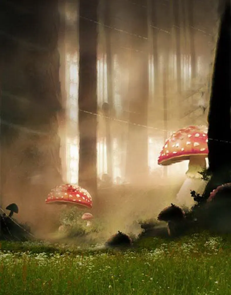 

Meadow Mushroom Tree Photography Backdrops Photo Props Studio Background 5x7ft