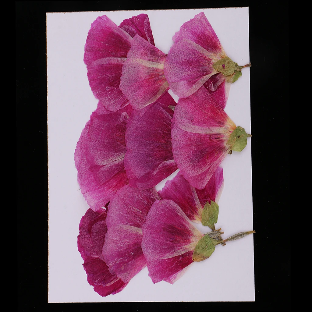 MagiDeal 12x Pressed Real Godetia Flower Dried Flowers DIY Phone Case Scrapbook Craft Artificia Flowers for Wedding Invitations