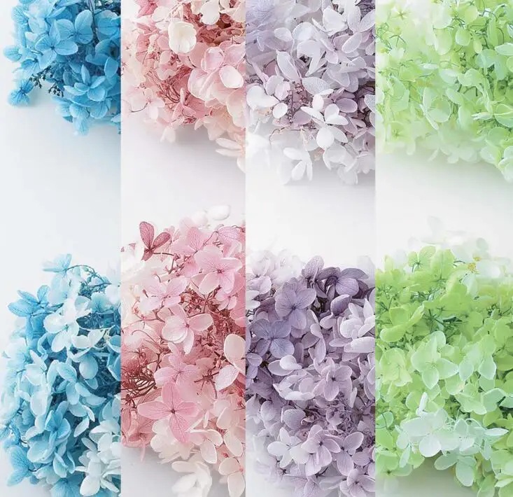 Online Buy Wholesale preserved flowers from China preserved flowers