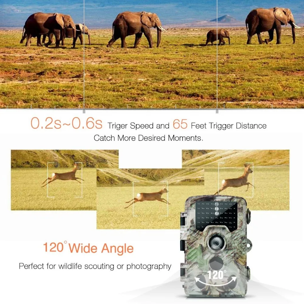 H881 Охота Камера Широкий формат Hd камера для наблюдения за дикой природой ловушка движение-активированный для дикой природы домашней безопасности на открытом воздухе Охотник Камера