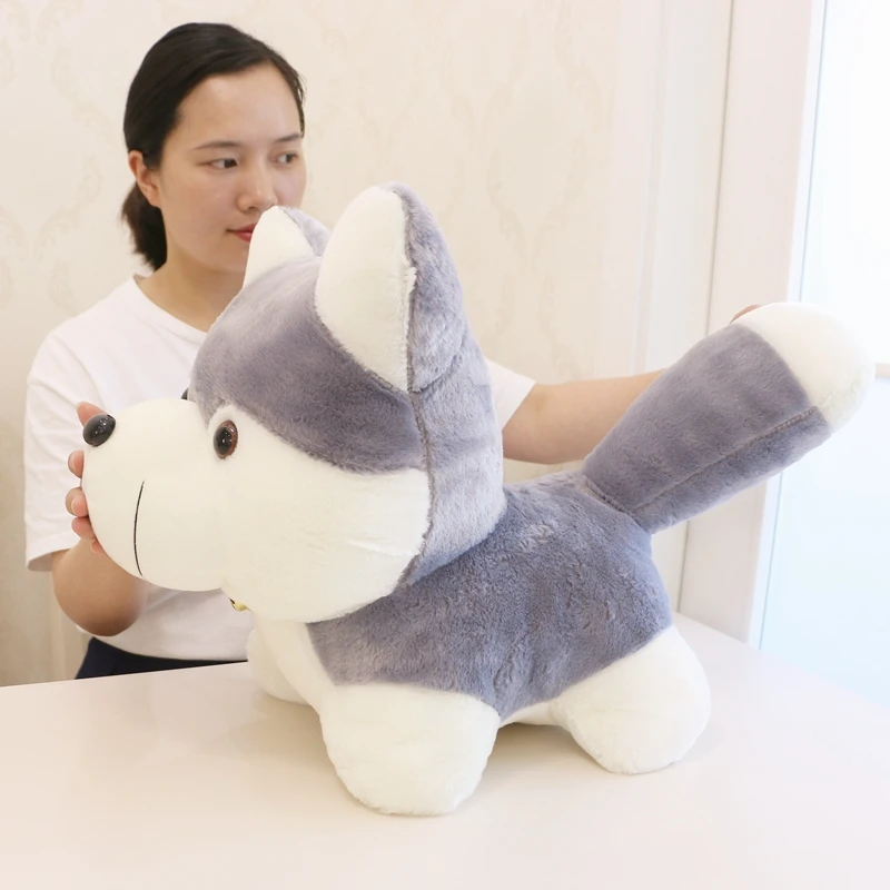 cute husky doll plush toy dog toys children's day birthday gift deco DY50689 (2)