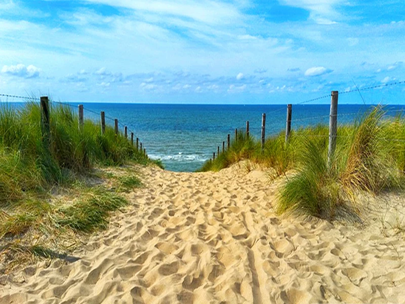 HTB1pLGijIj_B1NjSZFHq6yDWpXaD