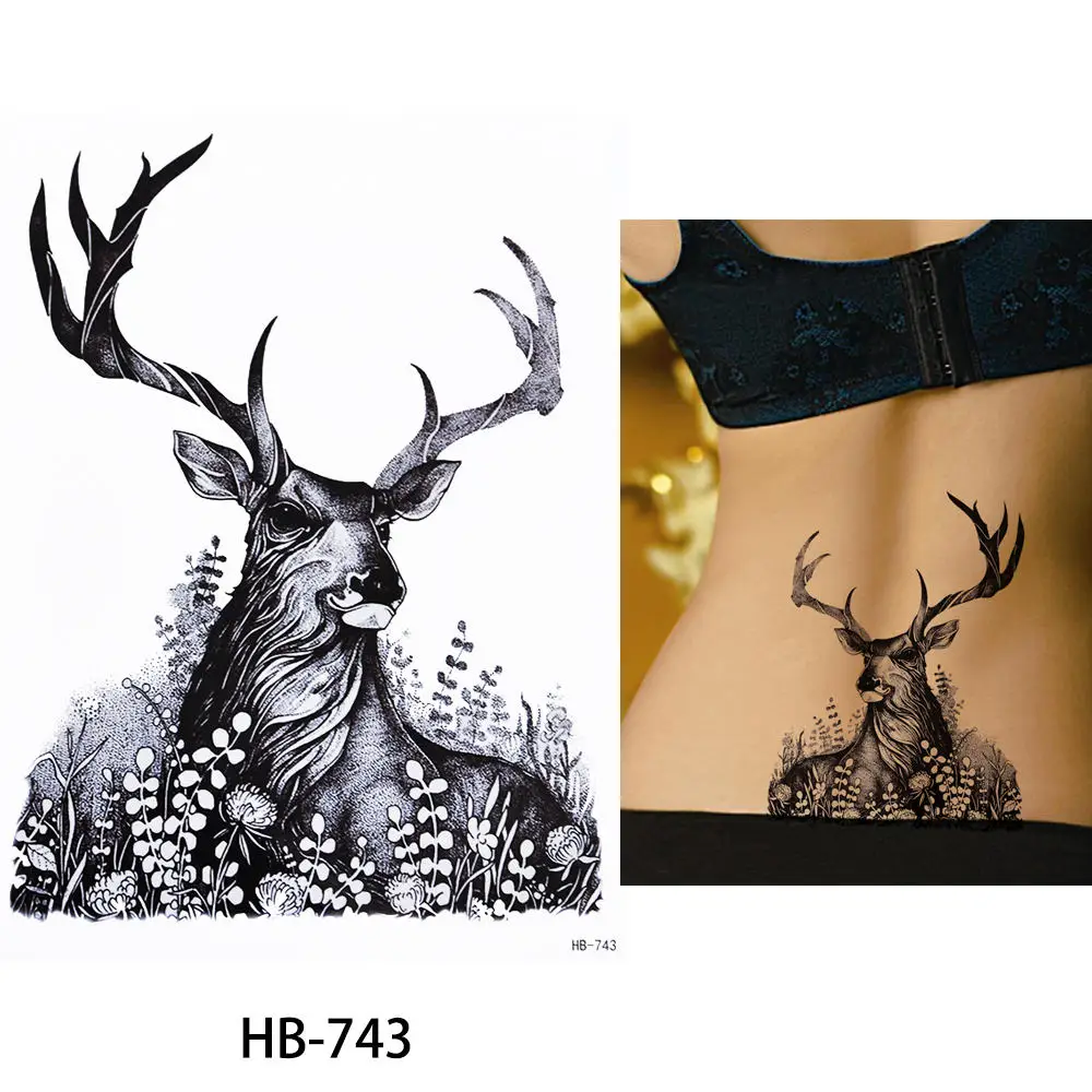 HB-743