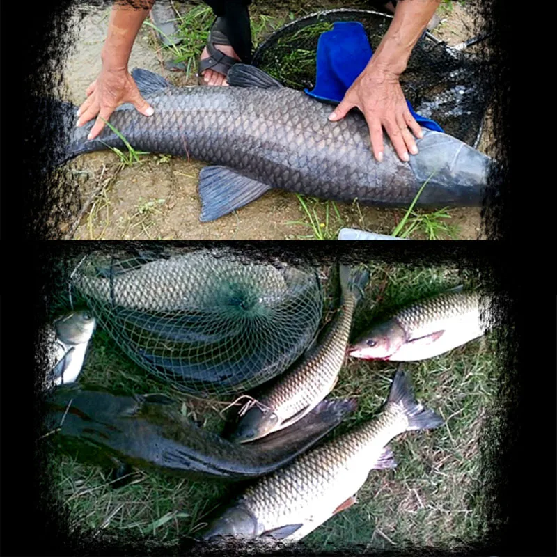 fishing hooks 06
