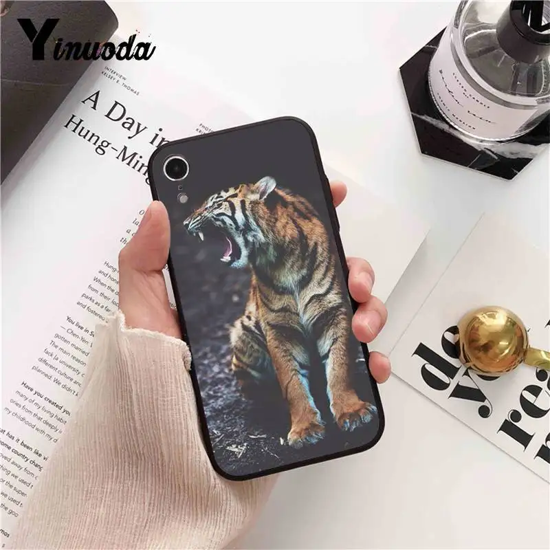 Cool Tiger Owl Cat Cartoon