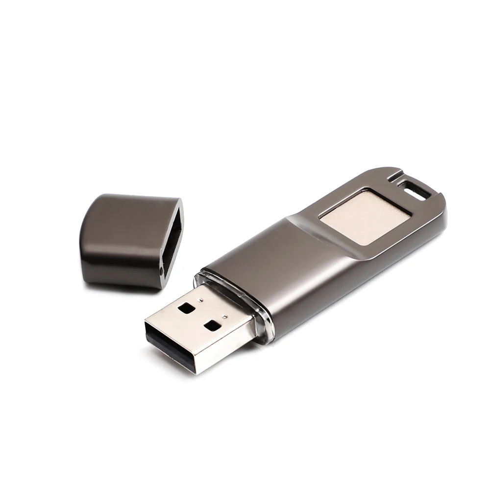 Arealer USB2.0 Fingerprint Encryption USB Flash Disk U Disk Encrypted Memory Metal Design for Business/Personal Data Security