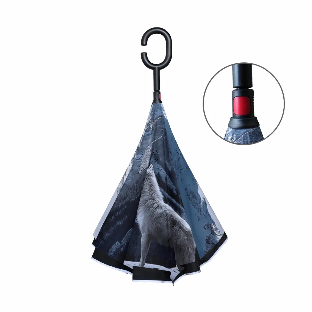 g1286781p183c217s313_2