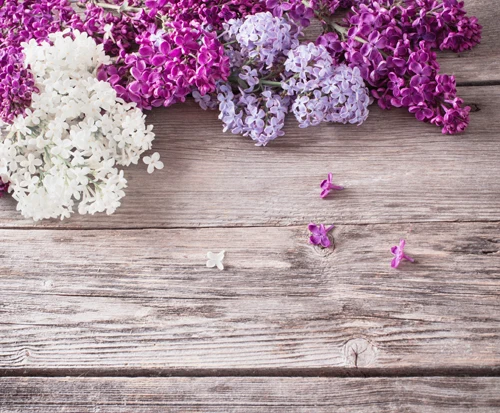 HUAYI purple and white flower plank wood board backdrop printed photo studio for newborn diy food doll pets background D-9560