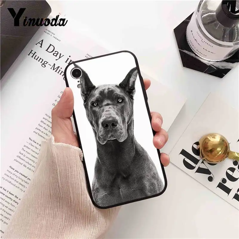 Dachshund Doberman Dog face