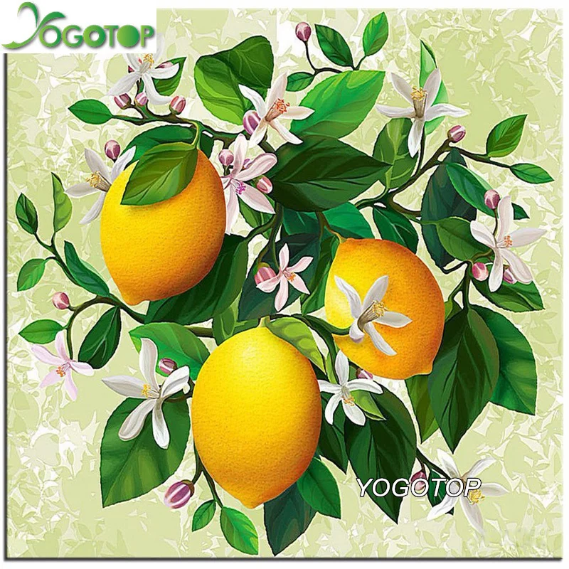 

YOGOTOP 5D Diamond Embroidery Oranges Diy Diamond Painting Cross Stitch Mosaic Crafts Square Diamond Pattern Rhinestones VS453