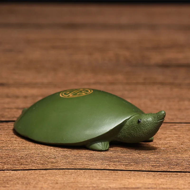 soft-shelled turtle