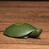 soft-shelled turtle