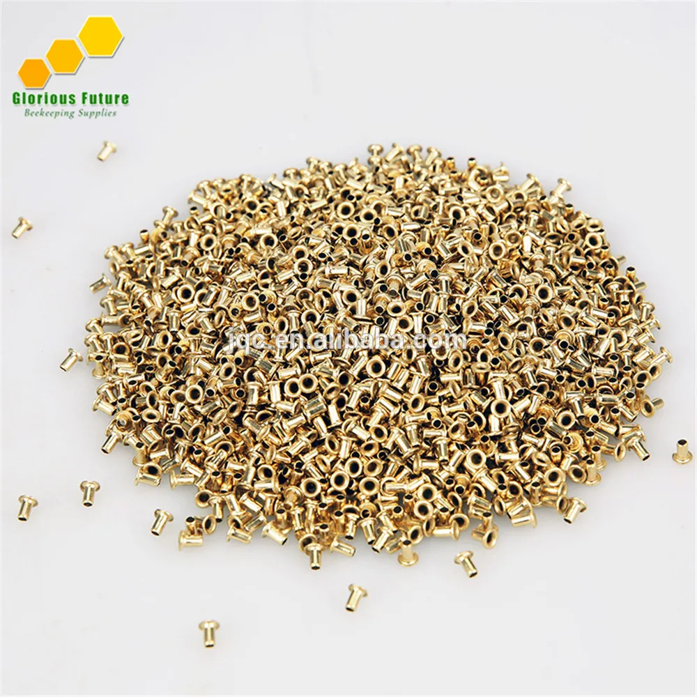 

8000Pcs Beehive Frame Eyelets 800g about bee frame wire eyelets Beekeeping wholesale brass eyelets for beehive