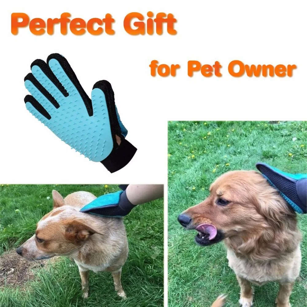 Pet Glove (2)