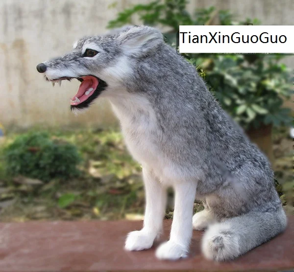 large 35x18x45cm simulation gray  squatting wolf hard model plastic&furs wolf prop,home decoration toy gift s2287