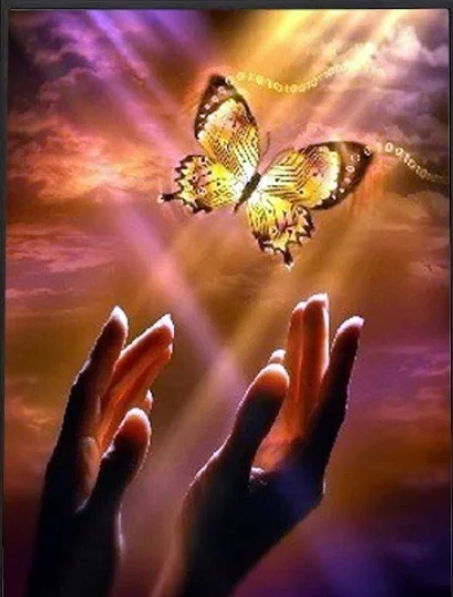 

DIY 5D Diamond Painting Butterflies in hand Full circular Diamond Embroidery Cross Stitch Diamond Rhinestone Home decor
