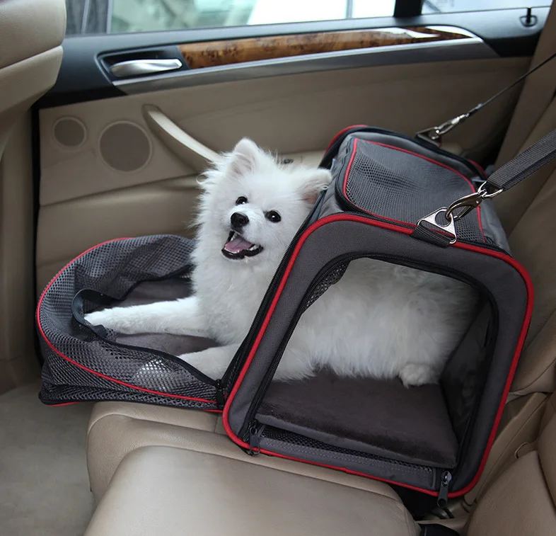 Transportador de cães