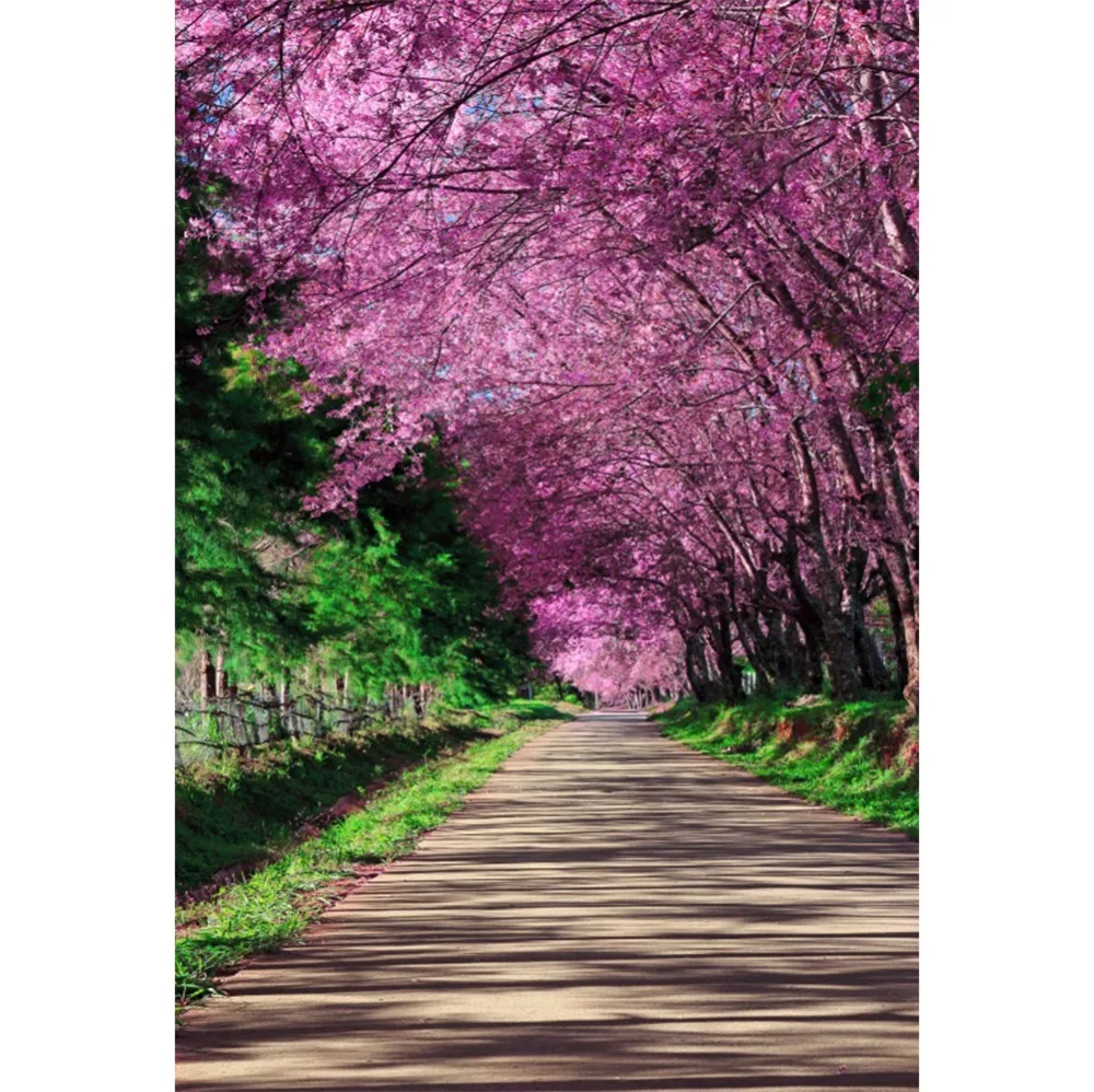 

Laeacco Pink Spring Blossom Flower Tree Grass Way Child Natural Scenic Photographic Background Photography Backdrop Photo Studio