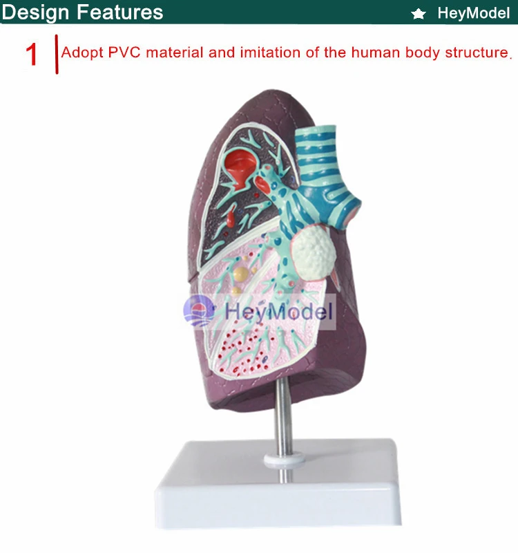 1.PVC_