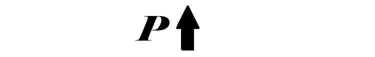P 16