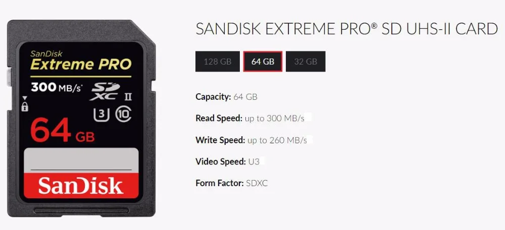 SanDisk SD card 300 MB-1
