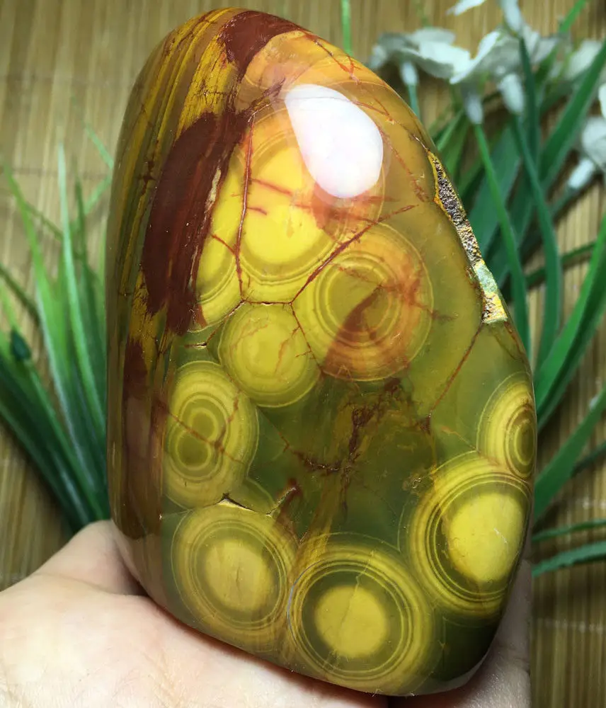 

325g Raw Natural Ocean Jasper Quartz Crystal Specimen&Abstract painting graduation gifts