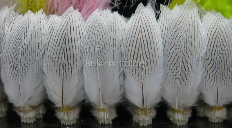 

Free Shipping 50pcs Silver pheasant Feathers 25-30cm 10-12inch white Pheasant silver Feathers DIY Feathers Cloth accessory