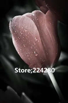 

Needlework,Cross stitch,14CT Unprinted Gorgeous tulips flower for Embroidery kits Art Cross-Stitching,DIY Handmade decor
