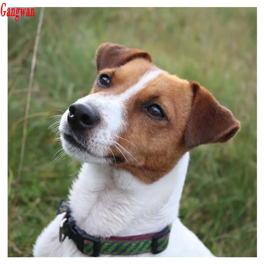 diamond painting puppy diamond embroidery cross stitch cute pet diamond mosaic jack russell terrier full rhinestone picture hobby gift