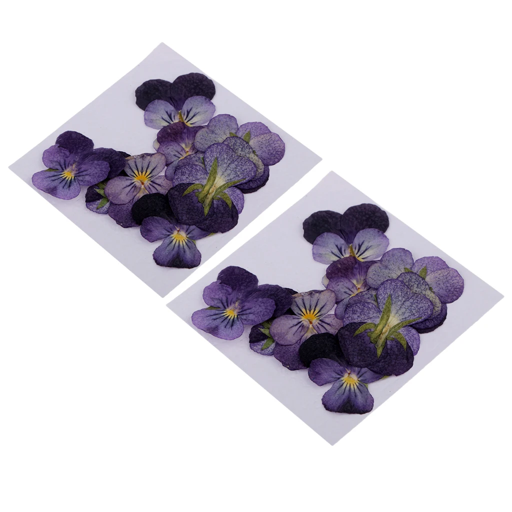24 Pcs Violet Natural Real Dried Flowers For DIY Crafts Scrapbooking Nail Art Jewelry Making Resin Casting  DIY Necklace Pendant