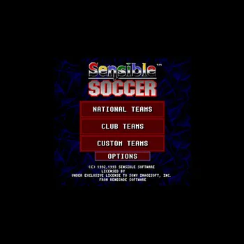 

Sensible Soccer NTSC Version 16 Bit 46 Pin Big Gray Game Card For USA Game Players