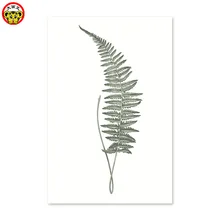 Картина по номерам художественная краска по номеру diy Цифровая живопись Зеленый завод ручной работы подарок новые изображения пронумерованы девушка окраска